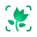 PictureThis - Plant Identifier APK v3.58 — Download for Android 2026 PictureThis - Plant Identifier - education app by Glority Global Group Ltd. (Android APK)