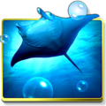 Ocean HD - mobileapplication app (Android APK)