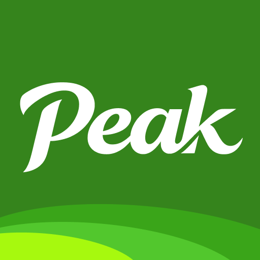 PeakCred - Personal Credit - finance app by O1E Company (Android APK)