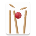 Light Cricket Scorer APK v1.0 — Download for Android 2026 Light Cricket Scorer - mobileapplication app (Android APK)