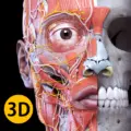 Anatomy 3D Atlas - medical app by Catfish Animation Studio (Android APK)