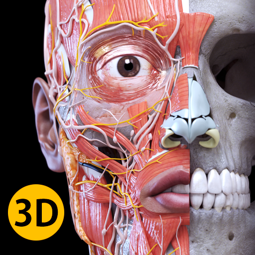 Anatomy 3D Atlas - medical app by Catfish Animation Studio (Android APK)