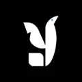 Yankee Yankee - social networking app by Yankee AI, Inc (Android APK)