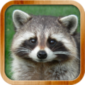Kids Learn About Animals APK Download for Android 2026 Kids Learn About Animals - educational game by CLEVERBIT (Android APK)