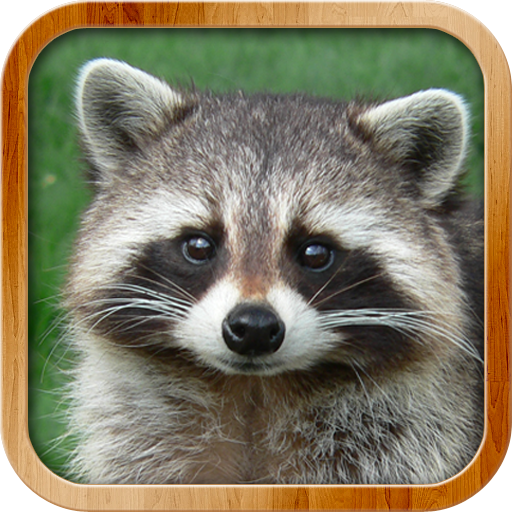 Kids Learn About Animals - educational game by CLEVERBIT (Android APK)