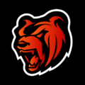 BLACK RUSSIA APK Download for Android 2026 BLACK RUSSIA - role playing game by BLACKHUB GAMES - FZCO (Android APK)